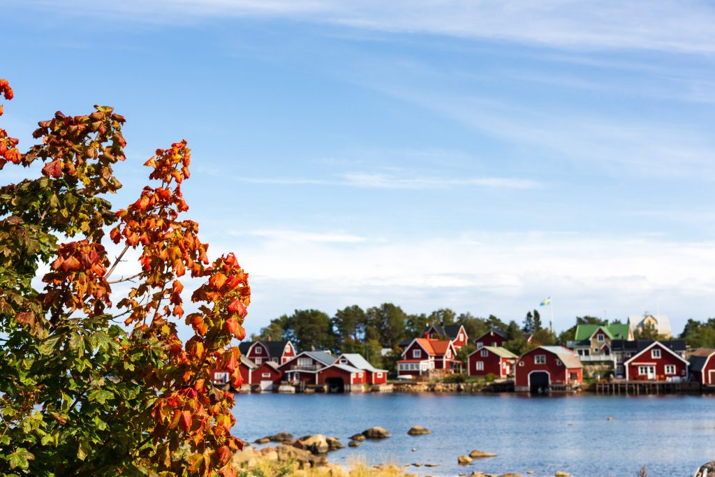 Rönnskär, Stocka, Nordanstig, Höst