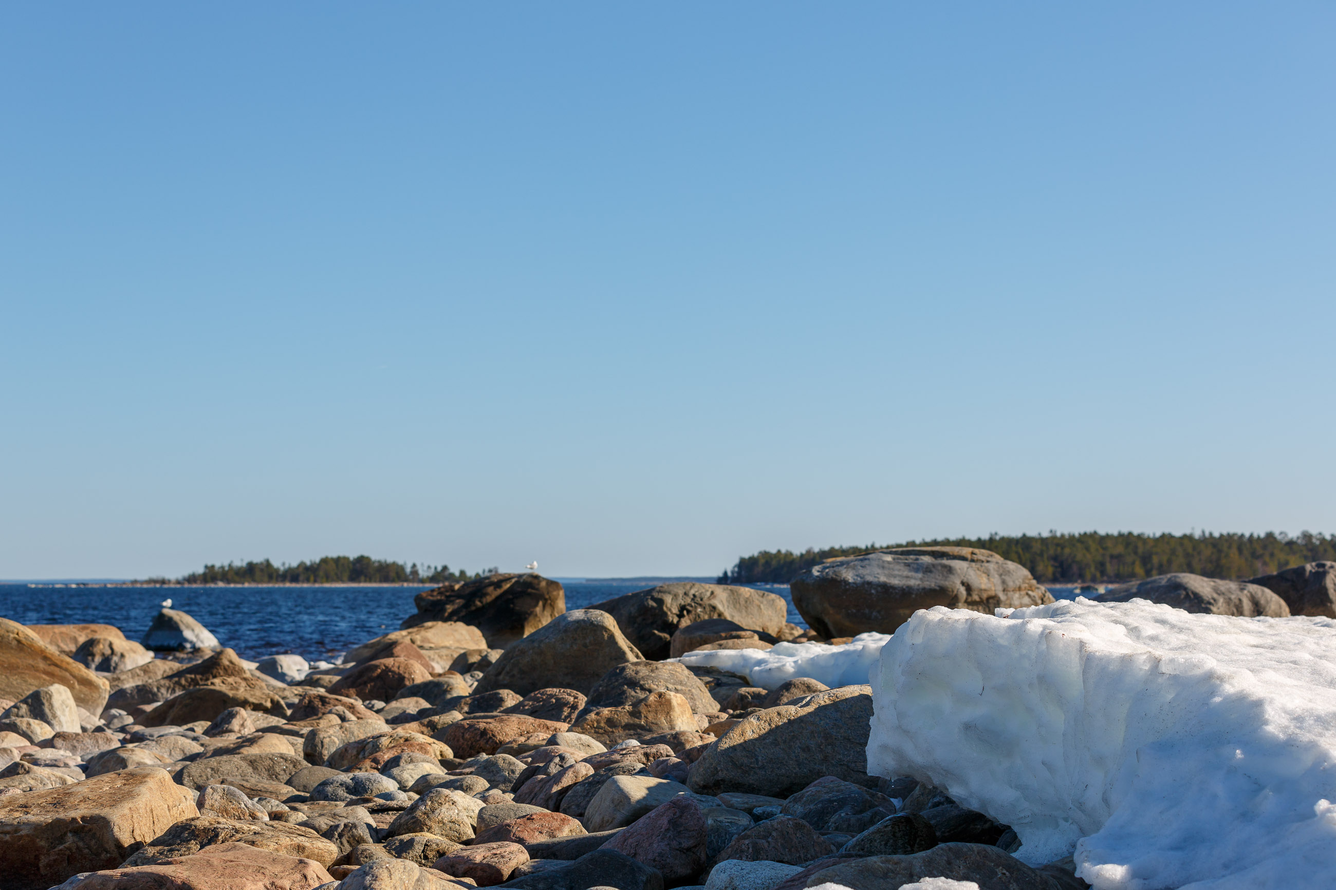 Rönnskärs samfällighet