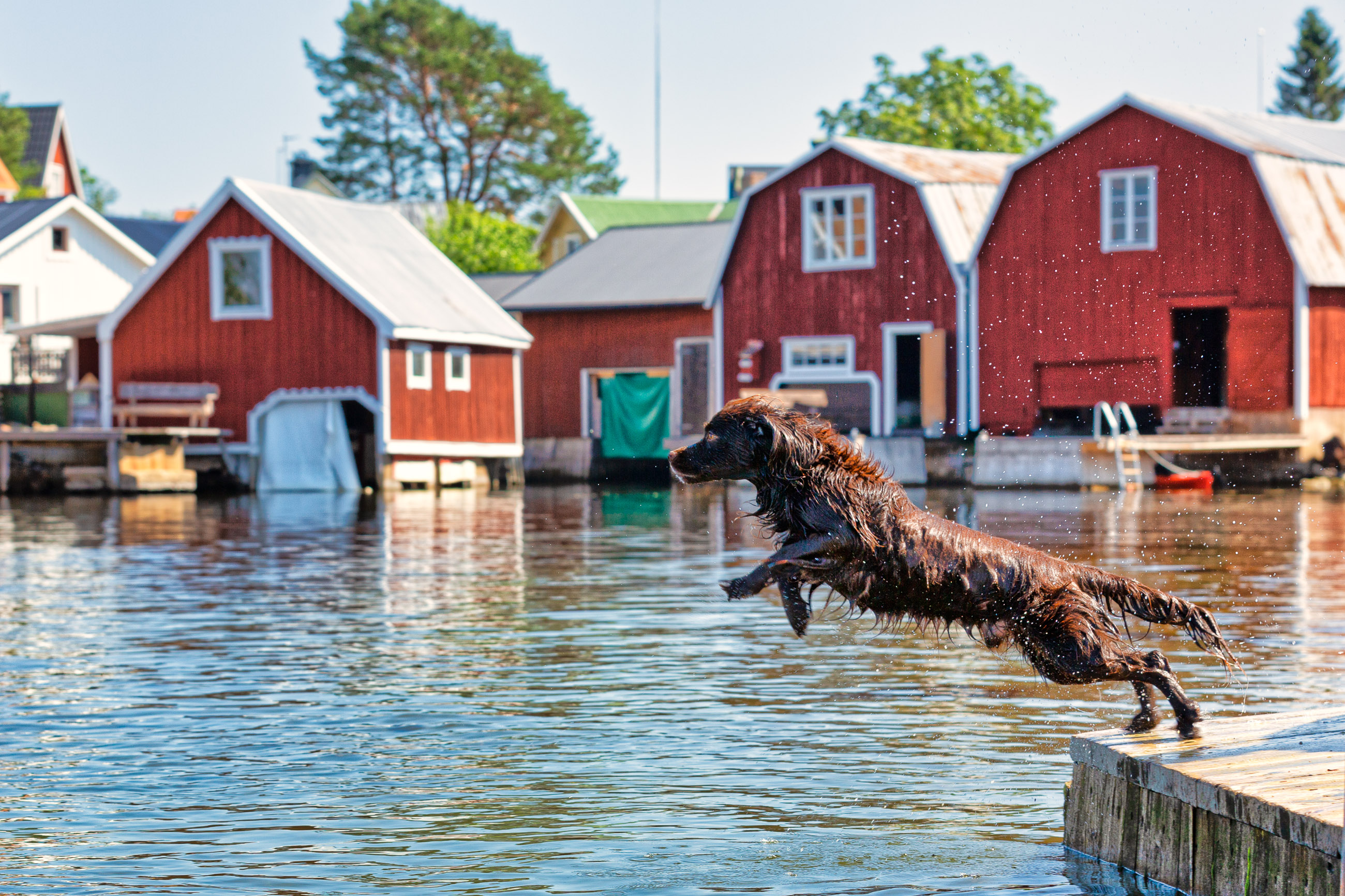 Rönnskärs samfällighet