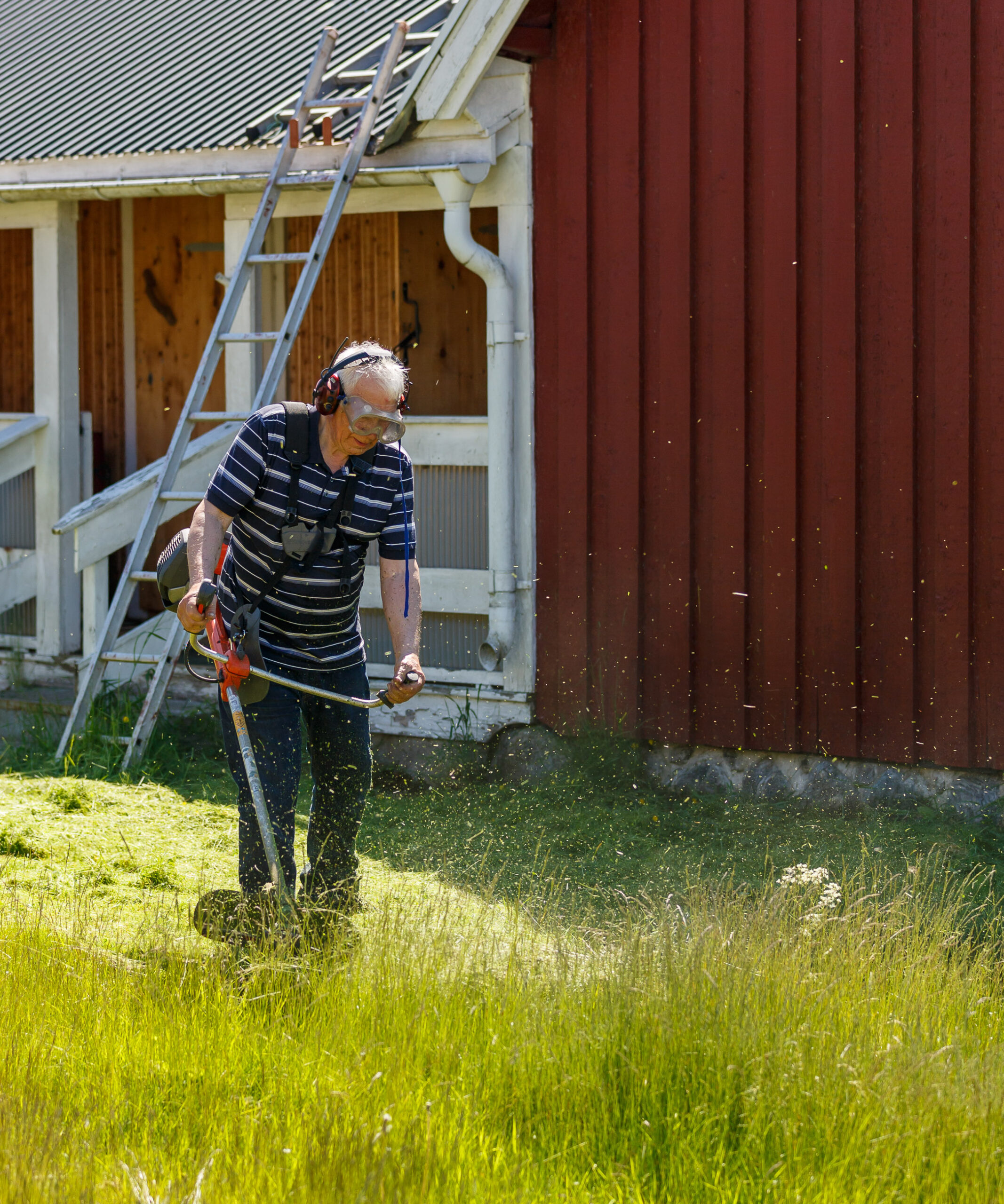 Rönnskärs samfällighet